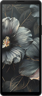 Силиконовый чехол Черные цветы для Sony Xperia 10 VI - 6031u-3976 изображение 