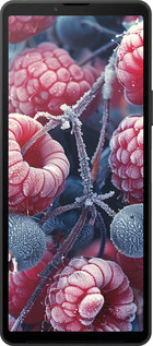 Силиконовый чехол Морозные ягоды для Sony Xperia 10 VI - 6033u-3976 изображение 