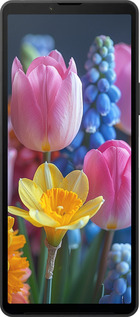 Силиконовый чехол Весенние цветы для Sony Xperia 10 VI - 6058u-3976 изображение 