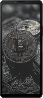 Силіконовий чехол Black Bitcoin для Sony Xperia 10 VI - 6090u-3976 изображение 