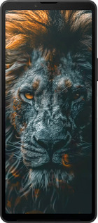 Силиконовый чехол Лев в сумерках для Sony Xperia 10 VI - 6154u-3976 изображение 