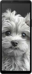 Силиконовый чехол Мальтипу на чорном фоне для Sony Xperia 10 VI - 6156u-3976 изображение 