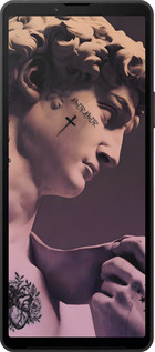 Силиконовый чехол Давид для Sony Xperia 10 VI - 6302u-3976 изображение 