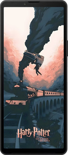 Силиконовый чехол Гарри Поттер для Sony Xperia 10 VI - 6331u-3976 изображение 