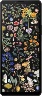 Силиконовый чехол С цветами для Sony Xperia 10 VI - 6422u-3976 изображение 