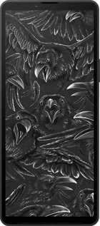 Силиконовый чехол Воронья ярость для Sony Xperia 10 VI - 6474u-3976 изображение 