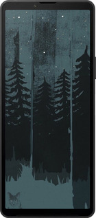 Силиконовый чехол Лиса и ночной лес для Sony Xperia 10 VI - 6481u-3976 изображение 