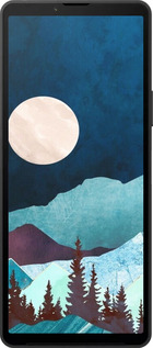 Силиконовый чехол Горная идиллия ночной пейзаж для Sony Xperia 10 VI - 6488u-3976 изображение 