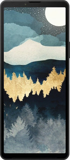 Силіконовий чехол Нічний краєвид з лісом та горами для Sony Xperia 10 VI - 6493u-3976 изображение 
