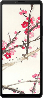 Силиконовый чехол Принт с изображением цветения сакуры для Sony Xperia 10 VI - 6545u-3976 изображение 