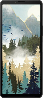 Силіконовий чехол Із зображенням лісового пейзажу для Sony Xperia 10 VI - 6548u-3976 изображение 