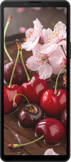 Силиконовый чехол Вишня в шоколаде для Sony Xperia 10 VI - 6698u-3976 изображение 