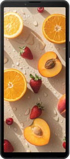 Силиконовый чехол Фрукты 3 для Sony Xperia 10 VI - 6703u-3976 изображение 