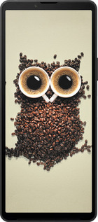 Силиконовый чехол Сова из кофе для Sony Xperia 10 VI - 777u-3976 изображение 