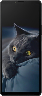 Силіконовий чехол Димчастий кіт для Sony Xperia 10 VI - 825u-3976 изображение 