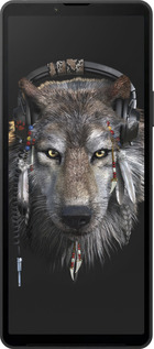 Силиконовый чехол Волк-меломан для Sony Xperia 10 VI - 875u-3976 изображение 