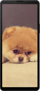 Силиконовый чехол Boo 2 для Sony Xperia 10 VI - 890u-3976 изображение 