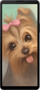 Силиконовый чехол Нарисованный йоркширский терьер для Sony Xperia 10 VI - 928u-3976 изображение 