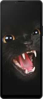 Силіконовий чехол Чорна кішка для Sony Xperia 10 VI - 932u-3976 изображение 