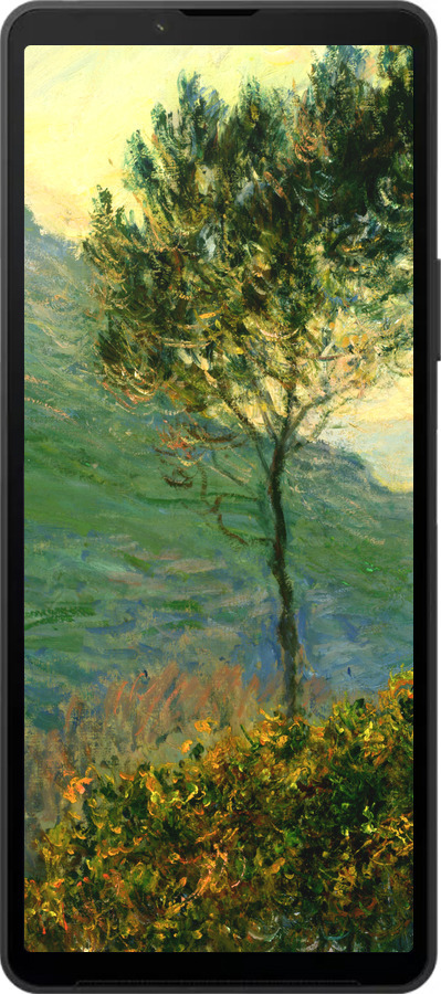 Силиконовый чехол Клод Моне для Sony Xperia 10 VI - 1193u-3976 изображение 