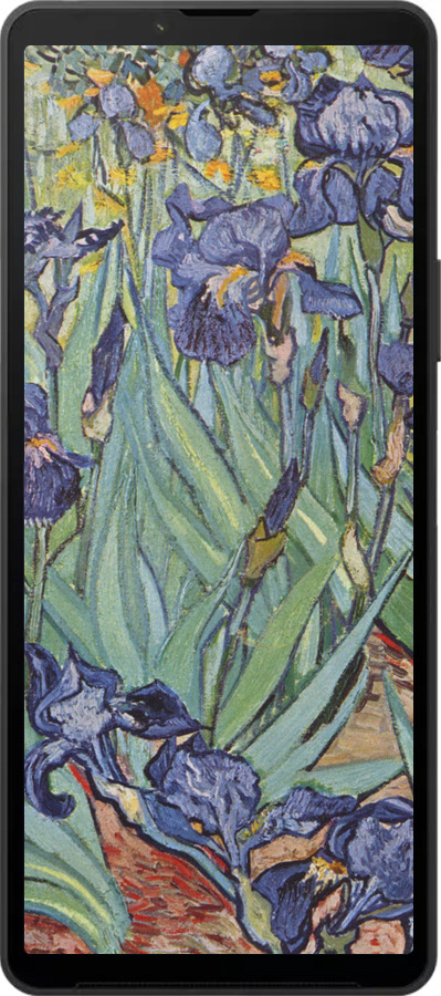 Силиконовый чехол Винсент Ван Гог. Ирисы для Sony Xperia 10 VI - 161u-3976 изображение 