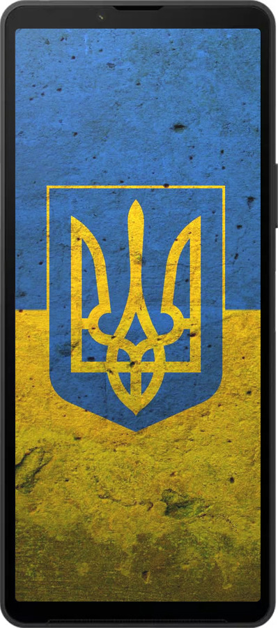 Силиконовый чехол Флаг и герб Украины 2 для Sony Xperia 10 VI - 378u-3976 изображение 