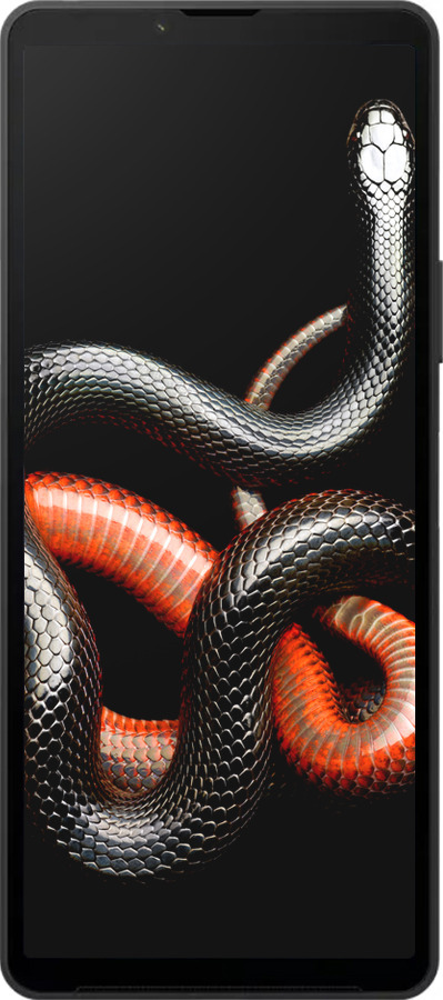 Силиконовый чехол Красно-черная змея на черном фоне для Sony Xperia 10 VI - 4063u-3976 изображение 