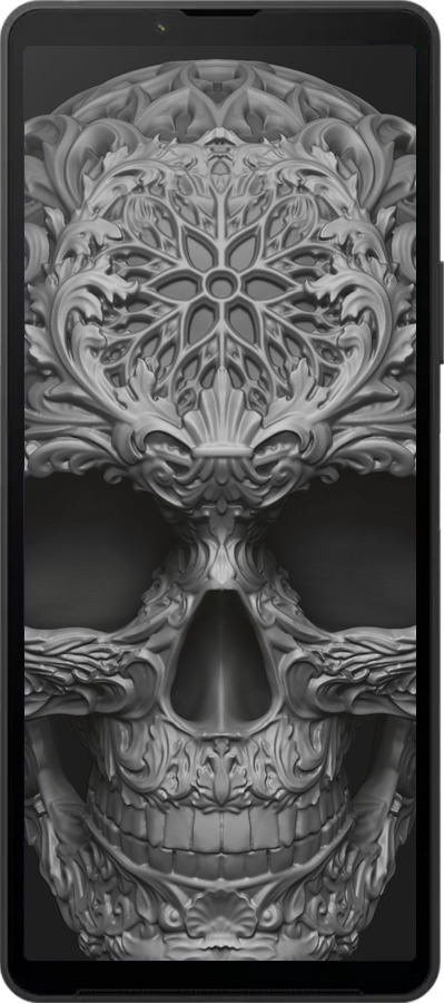 Силиконовый чехол skull-ornament для Sony Xperia 10 VI - 4101u-3976 изображение 