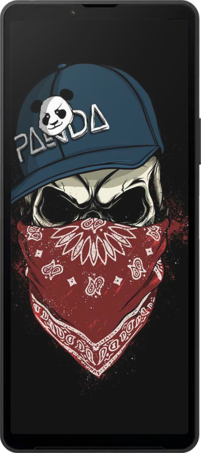 Силиконовый чехол Череп в кепке для Sony Xperia 10 VI - 4127u-3976 изображение 