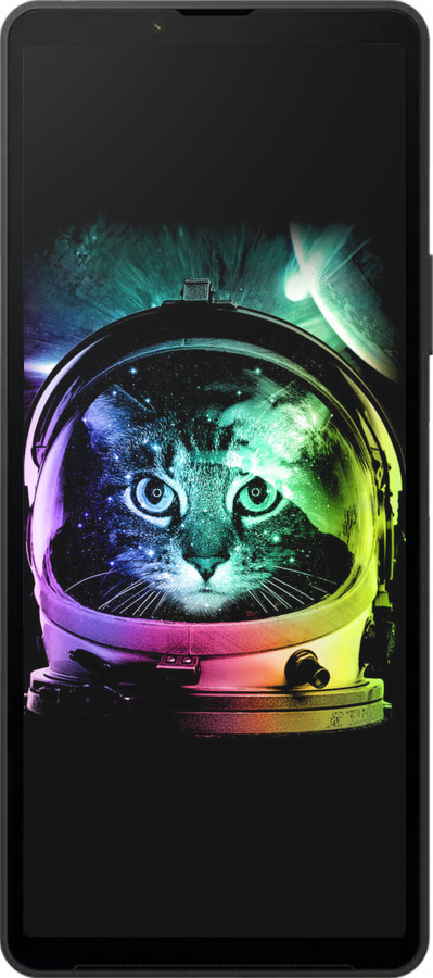 Силиконовый чехол Кот-астронавт для Sony Xperia 10 VI - 4154u-3976 изображение 