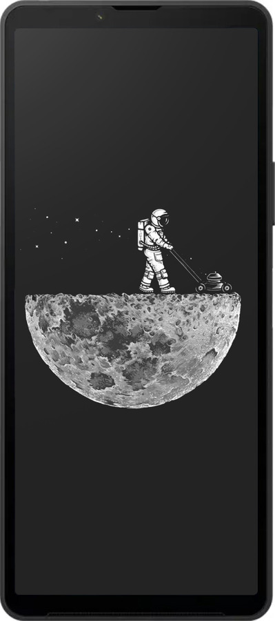 Силиконовый чехол Moon in dark для Sony Xperia 10 VI - 4176u-3976 изображение 