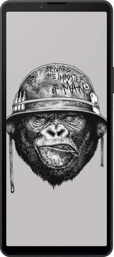 Силіконовий чехол military monkey для Sony Xperia 10 VI - 4177u-3976 изображение 