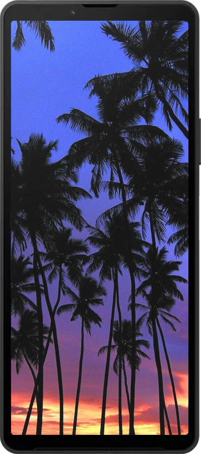 Силиконовый чехол Пальмы для Sony Xperia 10 VI - 4324u-3976 изображение 