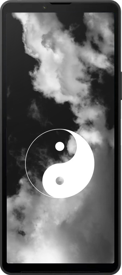 Силиконовый чехол Инь и Янь для Sony Xperia 10 VI - 4389u-3976 изображение 