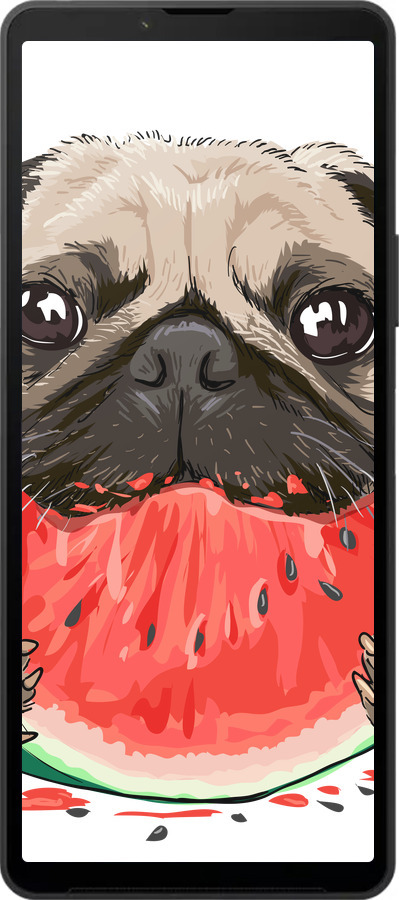 Силіконовий чехол Мопс і кавун для Sony Xperia 10 VI - 4665u-3976 изображение 