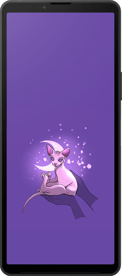 Силиконовый чехол Кот2 для Sony Xperia 10 VI - 4676u-3976 изображение 