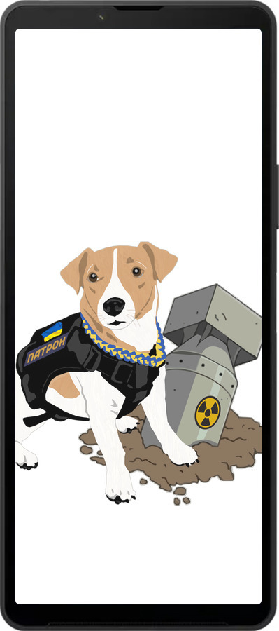 Силиконовый чехол Патрон v2 для Sony Xperia 10 VI - 5321u-3976 изображение 