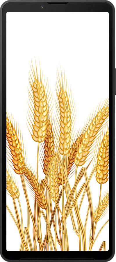 Силиконовый чехол Колоски пшеници для Sony Xperia 10 VI - 5866u-3976 изображение 