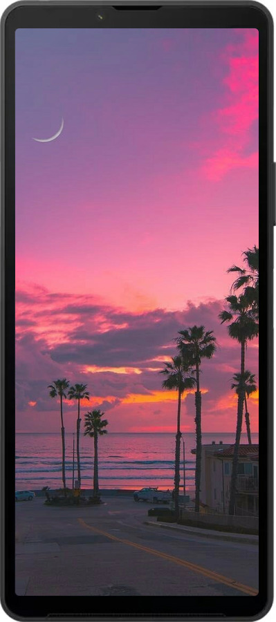 Силиконовый чехол Пальмы для Sony Xperia 10 VI - 5873u-3976 изображение 