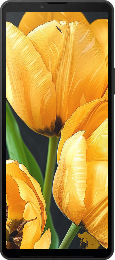 Силиконовый чехол Желтые тюльпаны для Sony Xperia 10 VI - 5991u-3976 изображение 