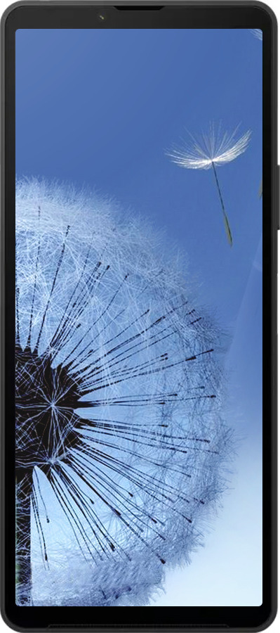 Силиконовый чехол Одуванчик для Sony Xperia 10 VI - 6005u-3976 изображение 