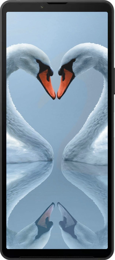 Силиконовый чехол Лебеди для Sony Xperia 10 VI - 6007u-3976 изображение 