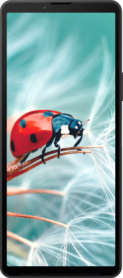 Силиконовый чехол Божья коровка для Sony Xperia 10 VI - 6049u-3976 изображение 