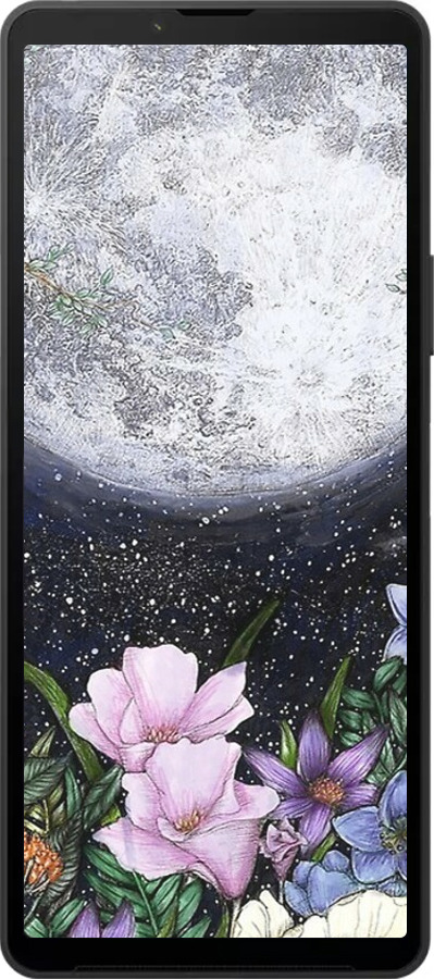 Силиконовый чехол Полночь в саду для Sony Xperia 10 VI - 6259u-3976 изображение 