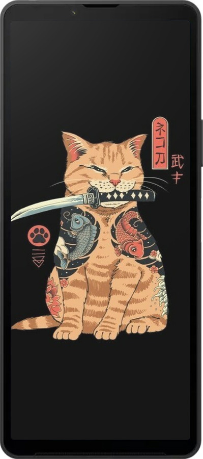 Силиконовый чехол Catana для Sony Xperia 10 VI - 6262u-3976 изображение 