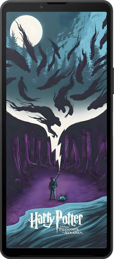 Силиконовый чехол Гарри Поттер 2 для Sony Xperia 10 VI - 6337u-3976 изображение 