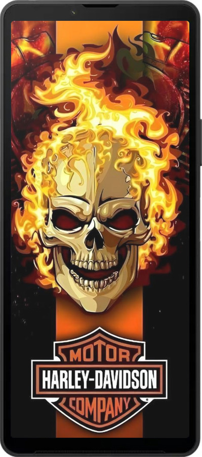 Силіконовий чехол Харлей девидсон для Sony Xperia 10 VI - 6370u-3976 изображение 