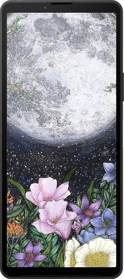 Силиконовый чехол Полночь в саду II для Sony Xperia 10 VI - 6424u-3976 изображение 