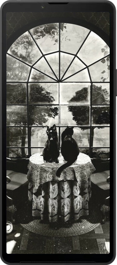 Силиконовый чехол Череп и коты для Sony Xperia 10 VI - 6432u-3976 изображение 