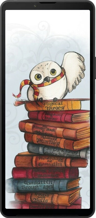 Силиконовый чехол Сова и книги для Sony Xperia 10 VI - 6436u-3976 изображение 